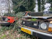 Onrust in Zandstraat over komst arbeidsmigranten op plek autokerkhof: ‘288 mensen, dat is gewoon te veel’