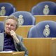Controversiële Van Ojik liet niemand onberoerd