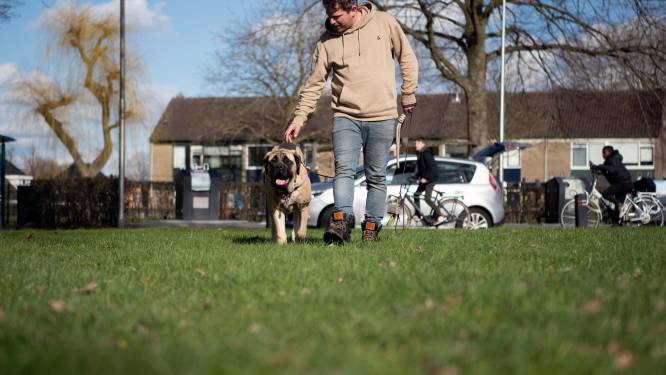 Steeds meer gemeentes schaffen hondenbelasting af, maar in deze Brabantse steden betaal je nog altijd fors 