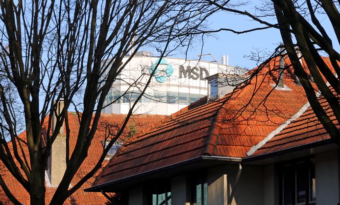 Het complex van MSD steekt uit boven de daken van de huizen in de Floraliastraat in Oss.  Op de ovalen toren staat inmiddels overigens het Organon-logo.