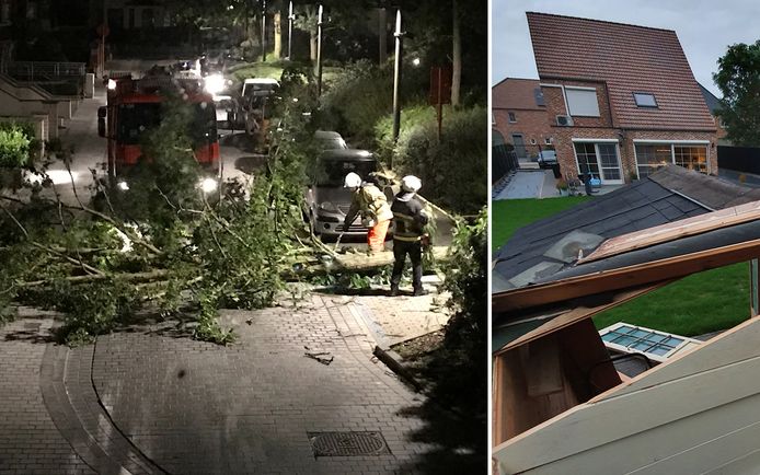 Omgewaaide bomen en een beschadigd tuinhuis: voorlopig lijkt de schade in Vlaanderen mee te vallen.