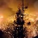Europa beleefde recordjaar aan klimaatrampen: geteisterd door hittestress, droogte en bosbranden