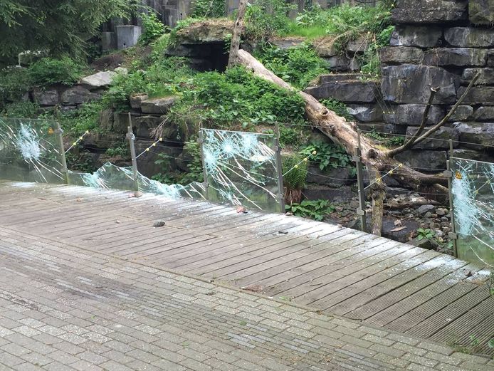 Arrestaties Voor Vernieling Dierenpark Emmen Binnenland Ad Nl