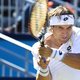 Ferrer en Petzschner spelen finale in Rosmalen