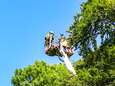 Militair Maaike (23) bungelt bijna uur in boom na sprong uit vliegtuig: ‘Erger kan het niet worden’