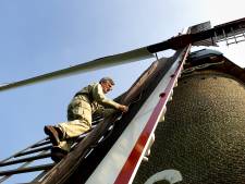 Hoogte nieuwe woningen wordt niet aangepast voor betere windvang van Oisterwijkse molen