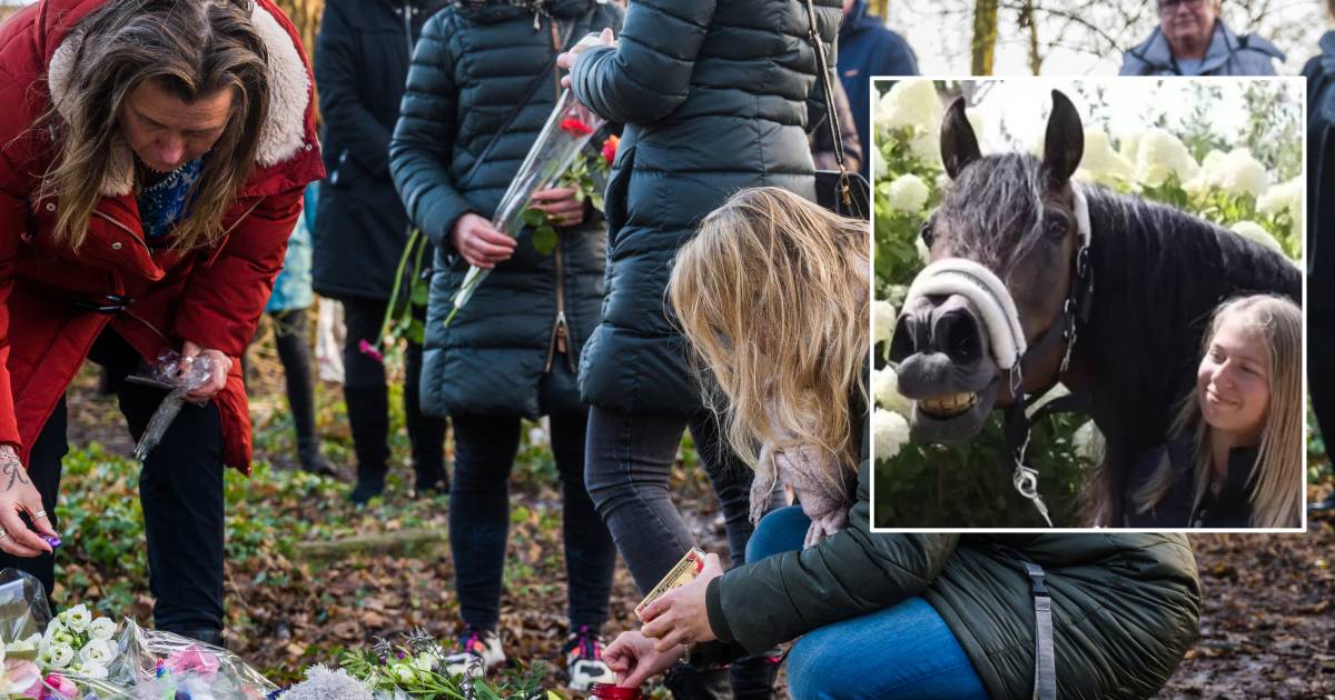 Politie stuurt sms-bom naar íedereen die in telefoon van omgebrachte Esmee (14) stond - AD.nl
