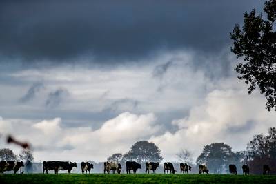 Twenterand maakt ‘bizarre fout’: grond van boer in Den Ham heeft ineens andere bestemming en dat is 
