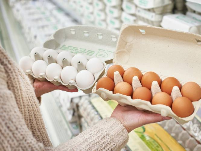 Verdwijnen bij ons bruine eieren binnenkort ook uit de supermarkt, zoals in Nederland?