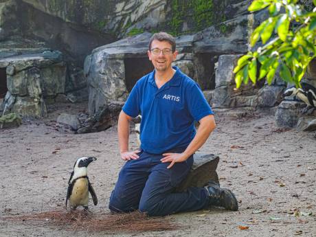 Hoe cool! Job is oppasser in de dierentuin: ‘Sommige vogels zijn mysterieus’