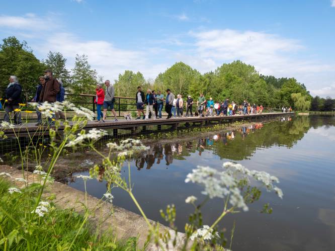 KIJK. Vrijbroekpark viert heropening vijver: “Paradepaardje is vlonderpad over het water”