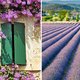 Als God in Frankrijk: Gorges du Verdon