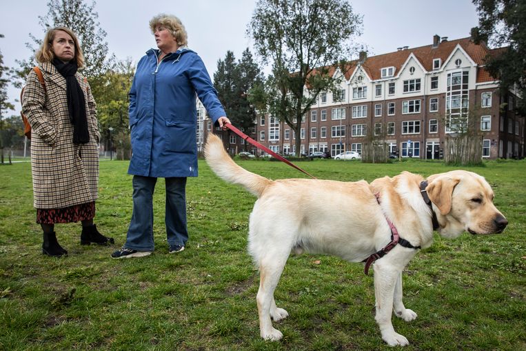 In de overvolle stad is het zoeken naar ruimte voor de hond - Parool.nl