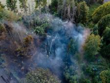 Brandweer waarschuwt voor grote risico’s van droogte: ‘Een sigarettenpeuk kan al genoeg zijn’