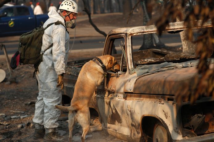 Reddingswerkers in Californië zoeken op 16 november naar menselijke restanten in een volledig uitgebrande auto