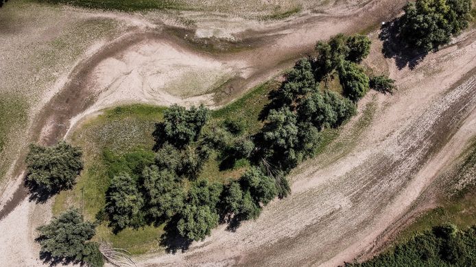 Natuurgebied Wetland Passewaaij bij Tiel valt steeds vaker droog.