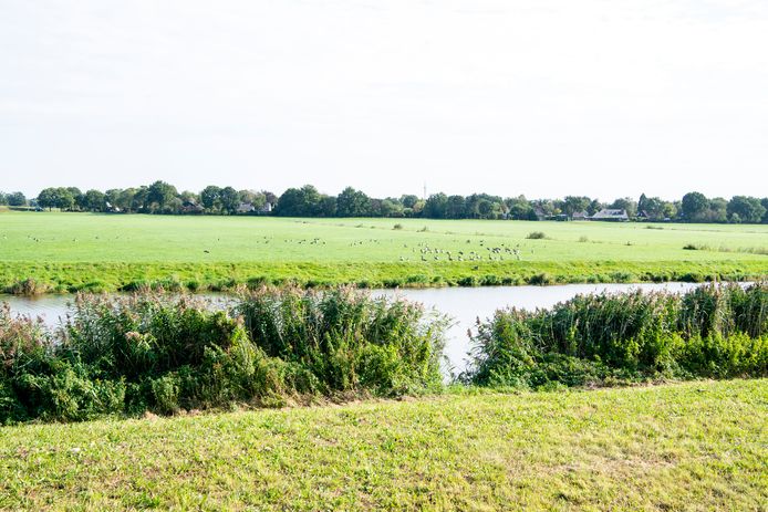 De Baalder Uiterwaard bij Hardenberg.