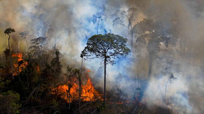 Ontbossing Amazone hoogste in 15 jaar, regering-Bolsonaro hield cijfers achter