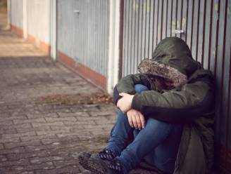 Wehlse hulpverlener (20) die verstandelijk gehandicapte jongen misbruikte, krijgt celstraf