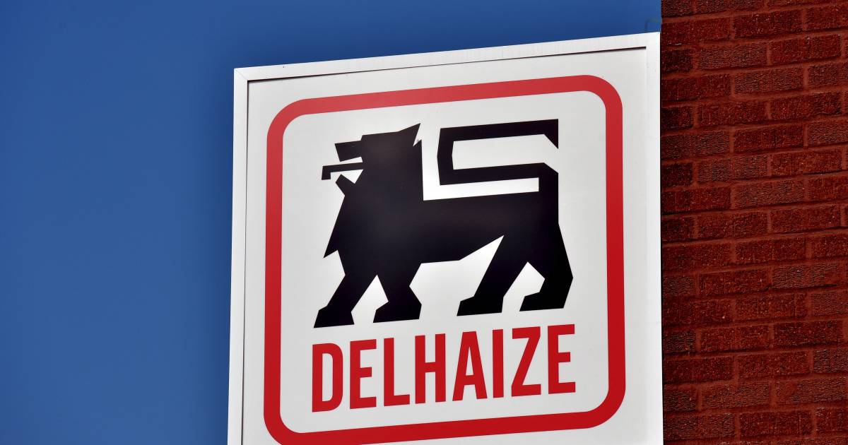 Delhaize: CNE vuole ‘rendere i negozi invendibili’ e organizza il boicottaggio |  Belgio