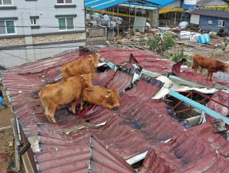 Minstens dertig doden bij overstromingen en aardverschuivingen in Zuid-Korea