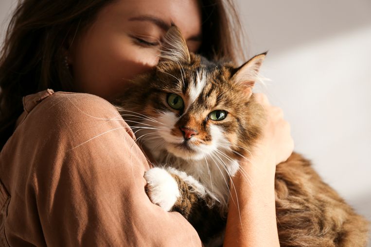 Vrouwen met déze sterrenbeelden zijn de beste kattenbaasjes. Beeld Getty Images/iStockphoto