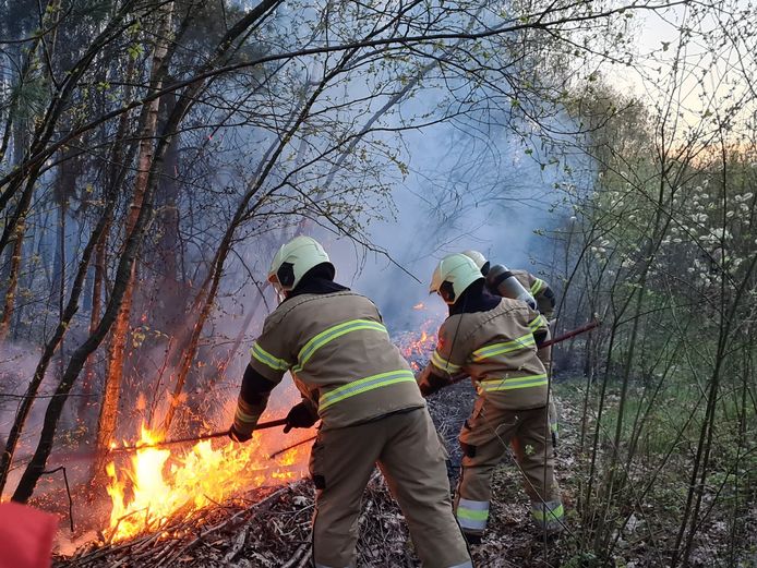 Beginnende bosbrand in Drunen, brandweer probeert vuur te blussen.