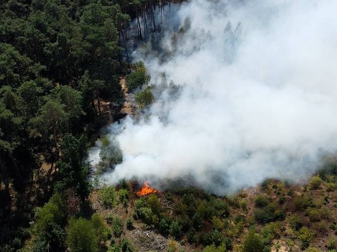 Natuurbrand in Oudsbergen weer onder controle opflakkering, jeugdverenigingen niet geëvacueerd: “De ouders zijn gerustgesteld”