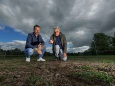 Voetbalclubs in Kampen zijn deze zomer van knollenvelden af (en krijgen mogelijk extra nepgras)