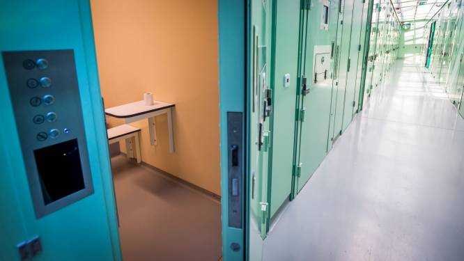 36-jarige Hagenaar krijgt celstraf van anderhalf jaar voor handel in illegaal gereedschap