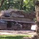 Documenten oppositiekrant bevestigen rol Russisch leger bij vervoer Buk-raket die vlucht MH17 neerhaalde