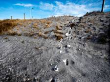 Tata Steel was al gewaarschuwd voor ‘zwarte sneeuw’ en bekende schuld, maar verzet zich tegen dwangsom