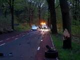 Auto knalt hard tegen boom: ravage op de weg in Arnhem