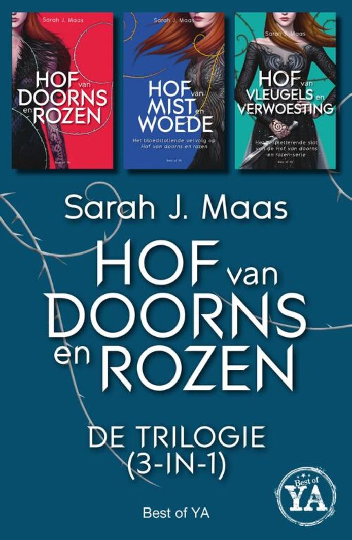 Hof Van Doorns en Rozen van Sarah J. Maas.