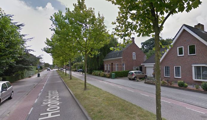 De platanen in de Hoofdstraat in Zevenbergschen Hoek.