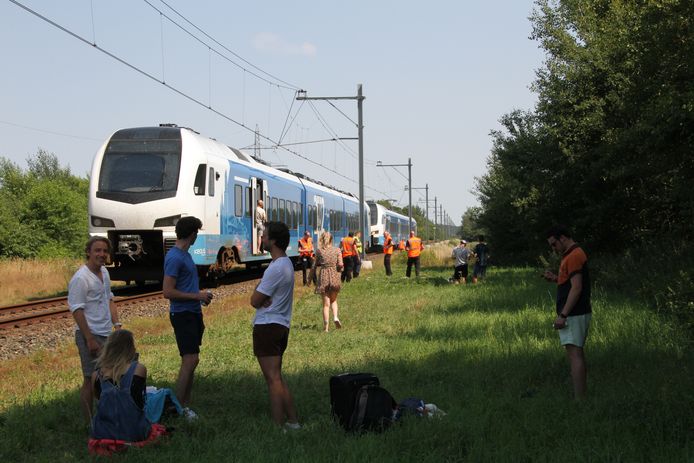 Reizigers zijn uit de trein geëvacueerd.