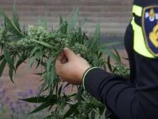 Marcouch sluit drugspand in Van Muijlwijkstraat: ‘levensgevaarlijk voorbeeld voor onze kinderen’