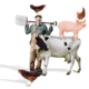 In Nederland zijn boeren een beetje heilig
