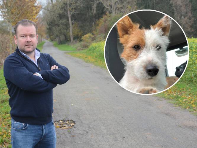 Jogger steekt hondje dood voor ogen van zijn baasje: “Dribbel deed geen vlieg kwaad”