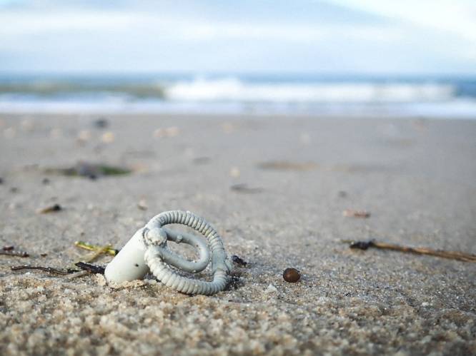 23 jaar na containerramp spoelt nog steeds LEGO aan op de Belgische stranden: “Ik droom stiekem nog een draak en octopus te vinden”