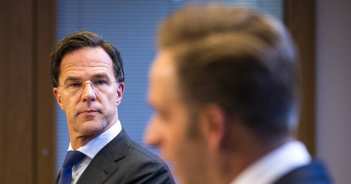 Rota wil een risico nemen nu Nederlanders de Corona-maatregelen beu zijn |  Het beleid