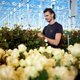 Tuinders moeten van het aardgas af, maar waar komt dan de stroom, warmte en CO2 vandaan?