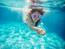 Ruim tweehonderd kalveren omgekomen bij grote brand in Elspeet, drie stallen verwoest | Veluwe |..