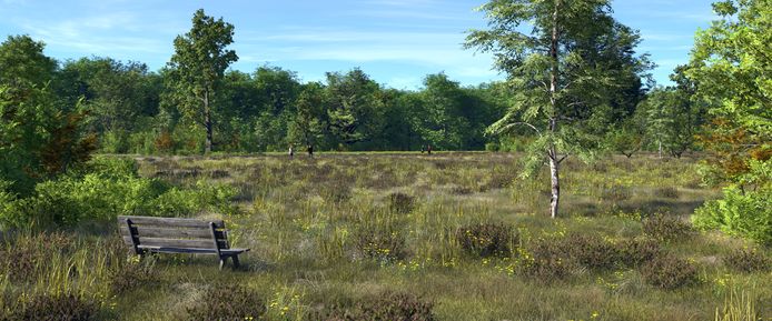 Impressie van natuurbegraafplaats Heidepol, op de grens van Arnhem en Ede.