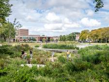 Vernieuwd Stadspark Molenwater in Middelburg leeft:  ‘Dit is een superplek’
