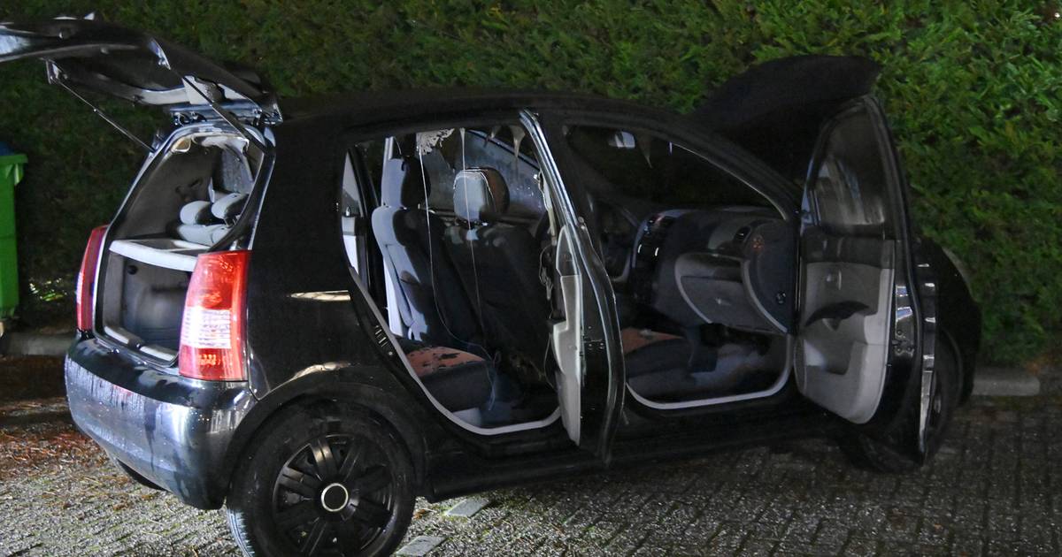Autobrand in Prinsenbeek, voertuig eerder die avond gestolen