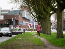 Markante kastanjes aan Boulevard in Enschede leggen door ziekte het loodje 