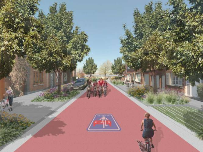 Molenstraat krijgt 12 meter brede straattuin, Koninginnelaan en Wevers- en Vandervaetstraat worden fietsstraten 