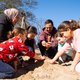 Daar is de lente écht: vandaag al zonnig en zacht, morgen klimt kwik boven 20 graden