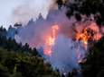 Al 8000 evacuaties om uitbreidende vuurzee vakantie-eiland Gran Canaria